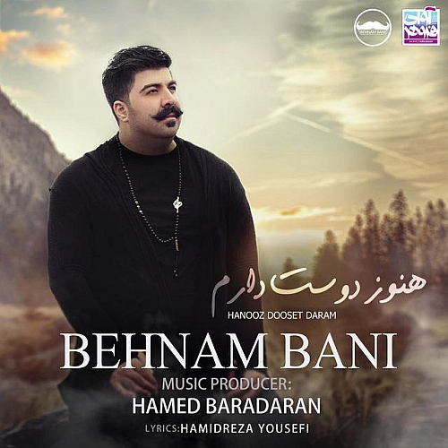 Cover artwork for Hanooz Dooset Daram by Behnam Bani